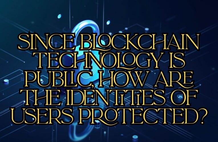 How Blockchain Protects User Identities in a Public Network?