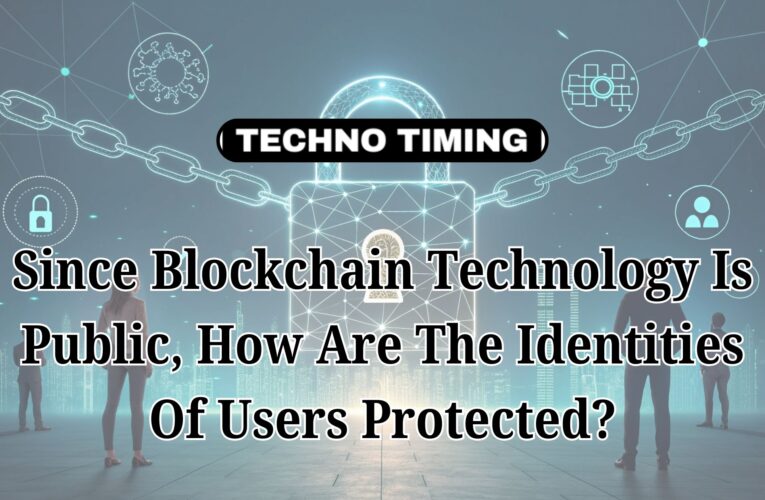 Blockchain’s Privacy Paradox: How User Identity is Protected on a Public Ledger