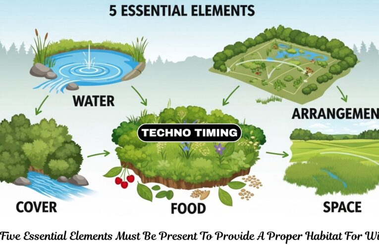The 5 Essential Elements of a Wildlife Habitat Explained